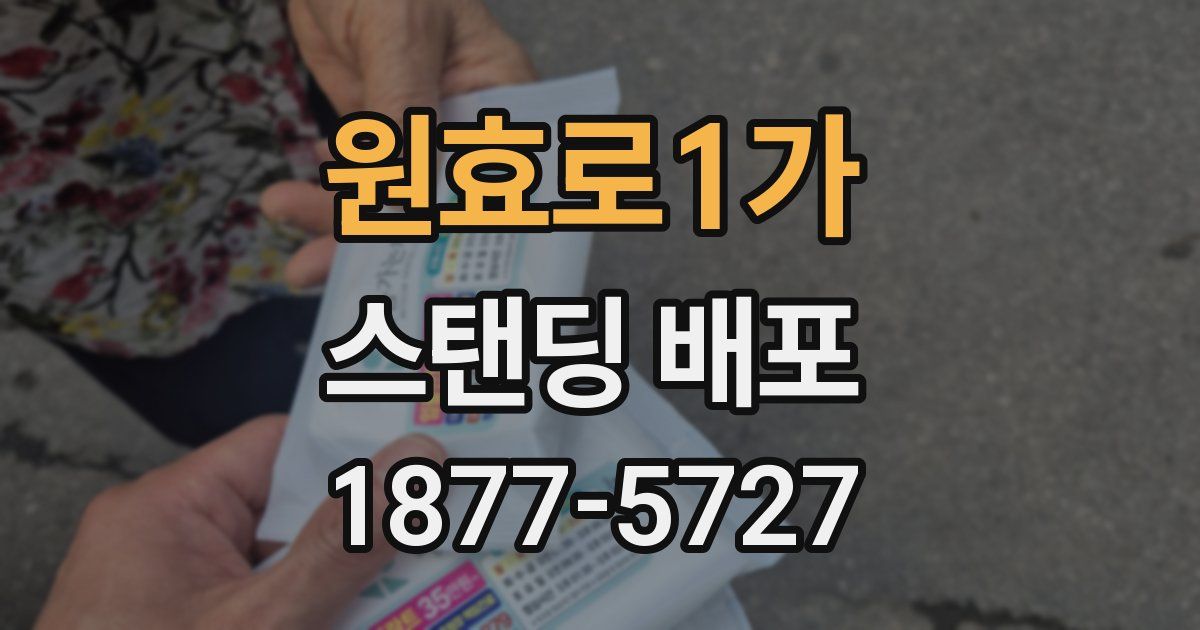 원효로1가 스탠딩 배포