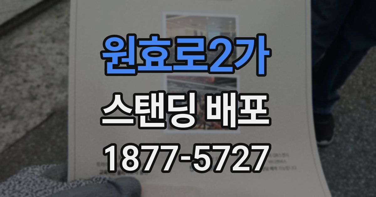 원효로2가 스탠딩 배포