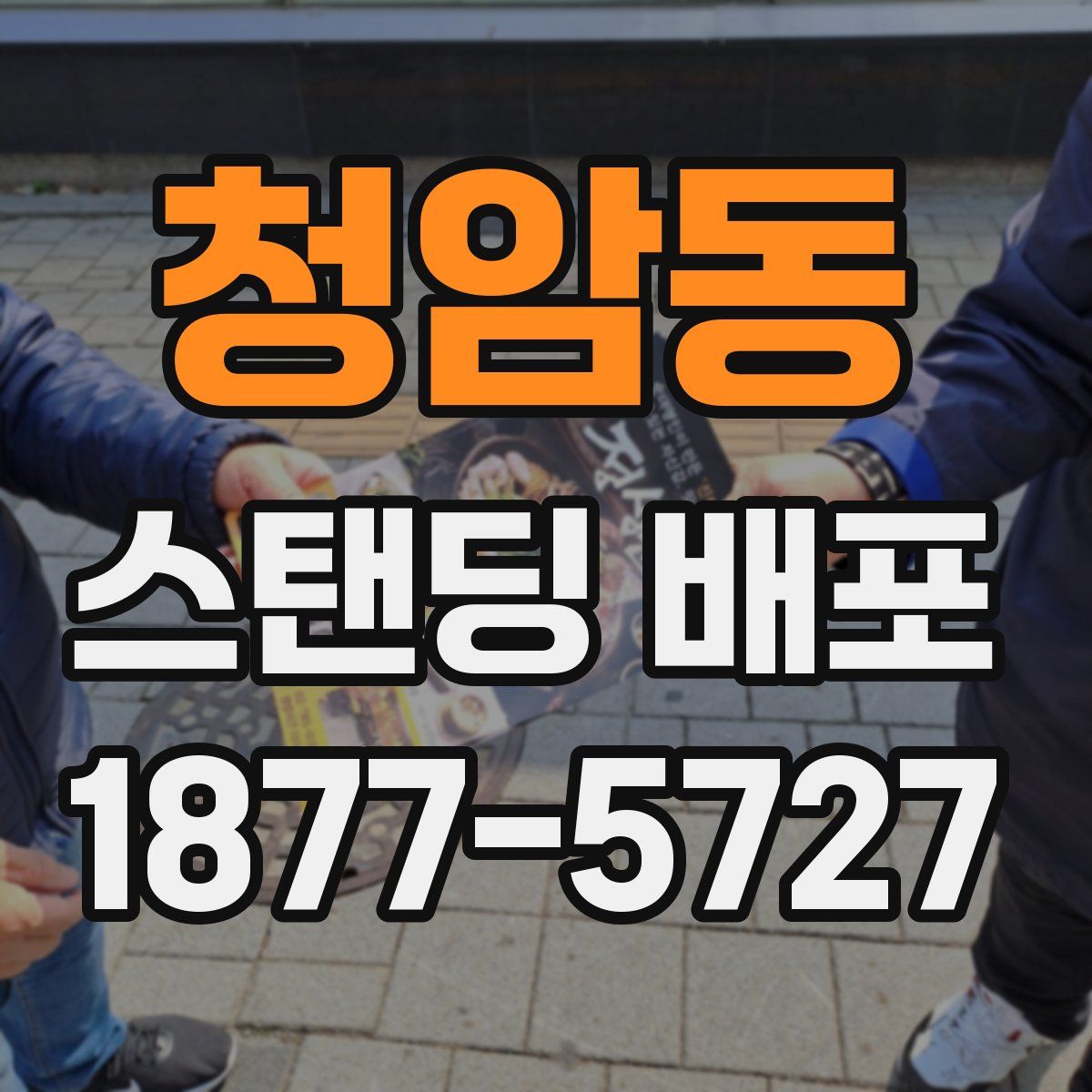 청암동 스탠딩 배포
