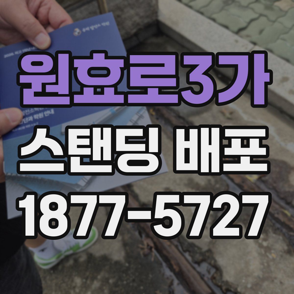 원효로3가 스탠딩 배포