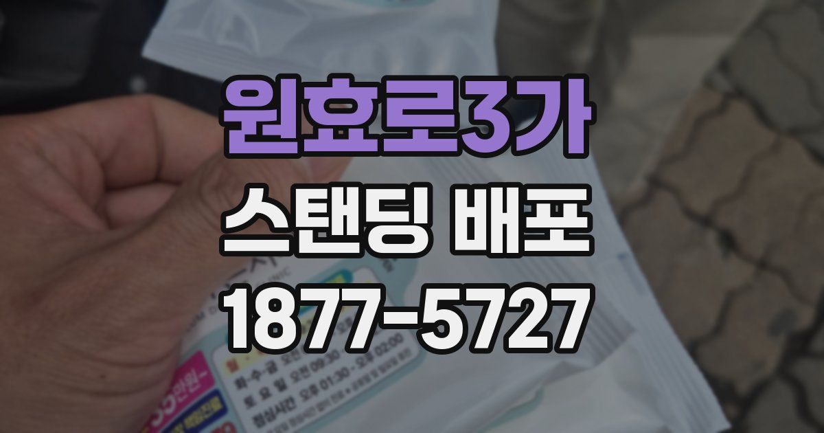 원효로3가 스탠딩 배포