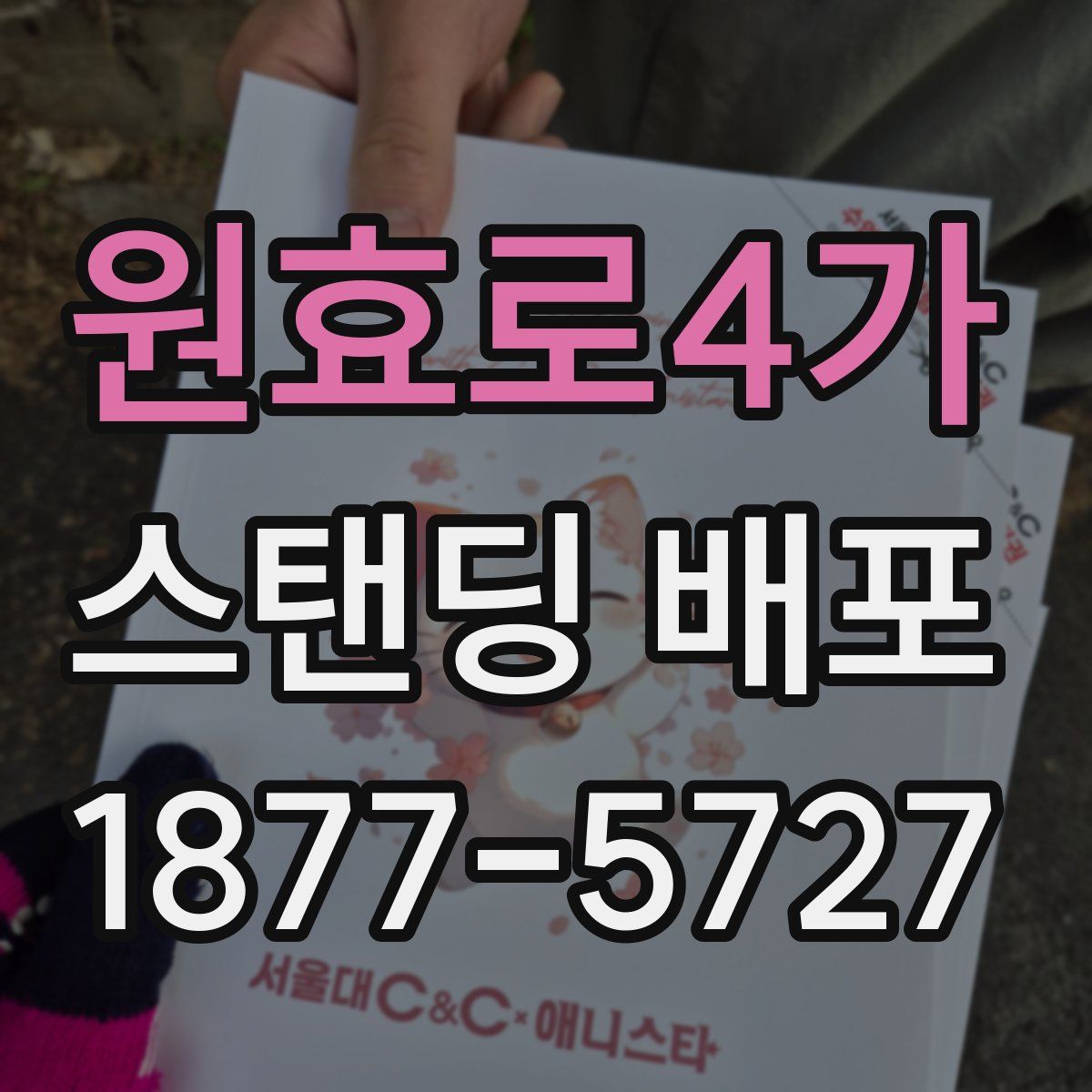 원효로4가 스탠딩 배포