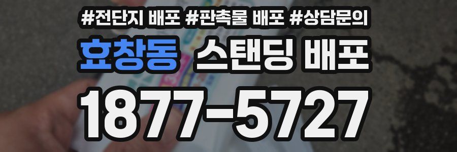 효창동 스탠딩 배포