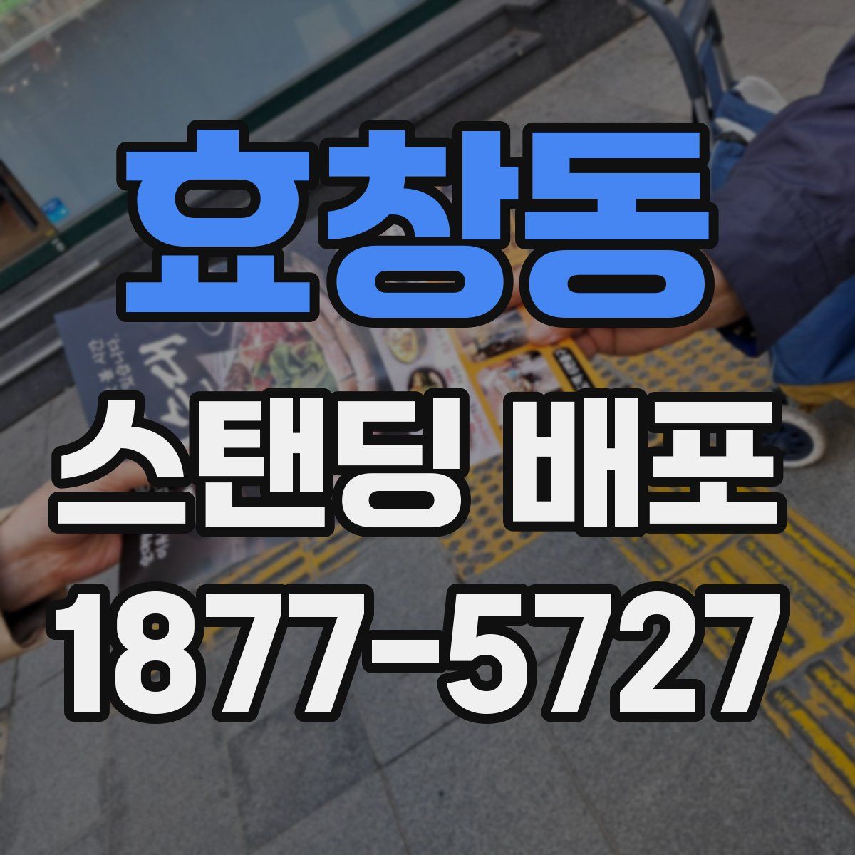 효창동 스탠딩 배포
