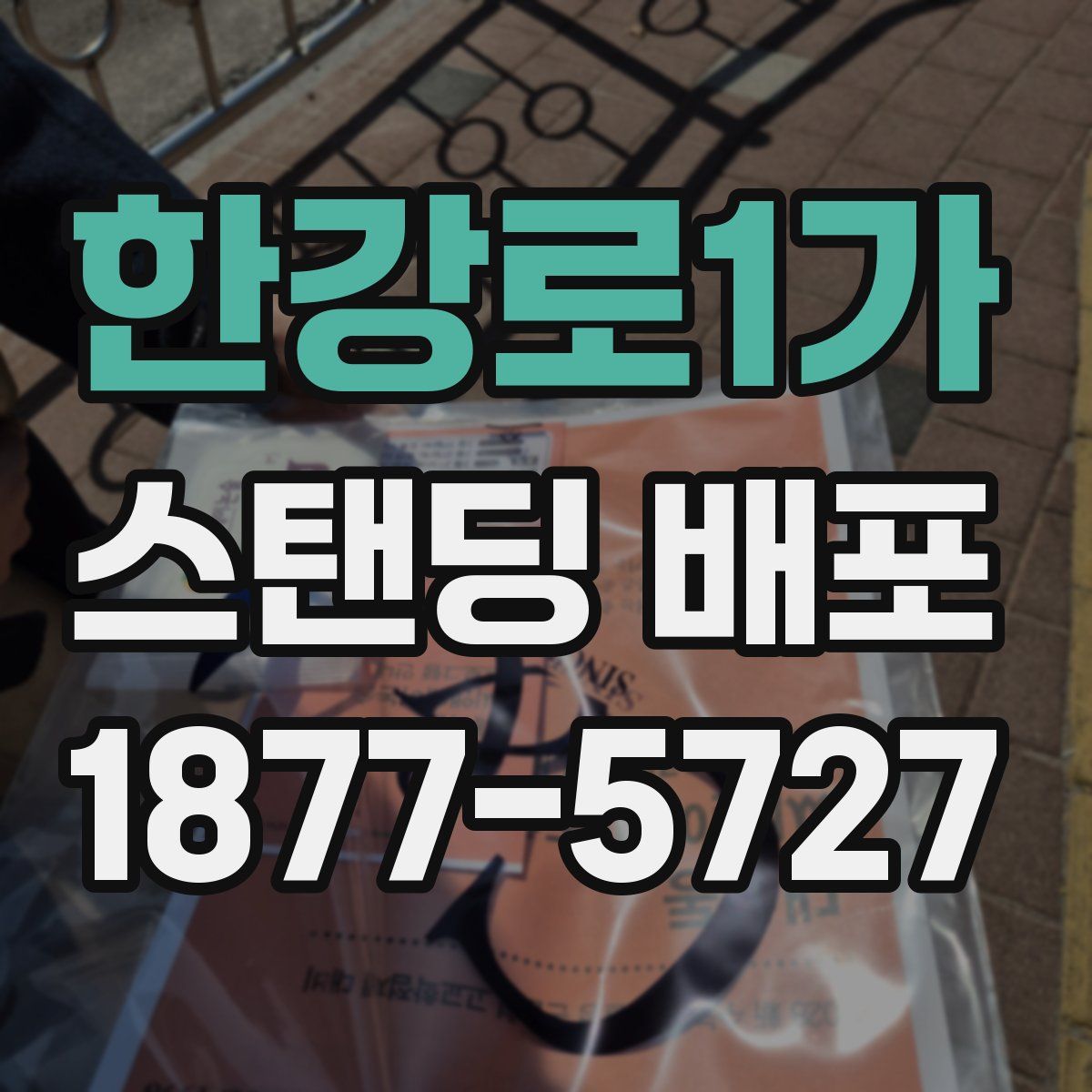 한강로1가 스탠딩 배포