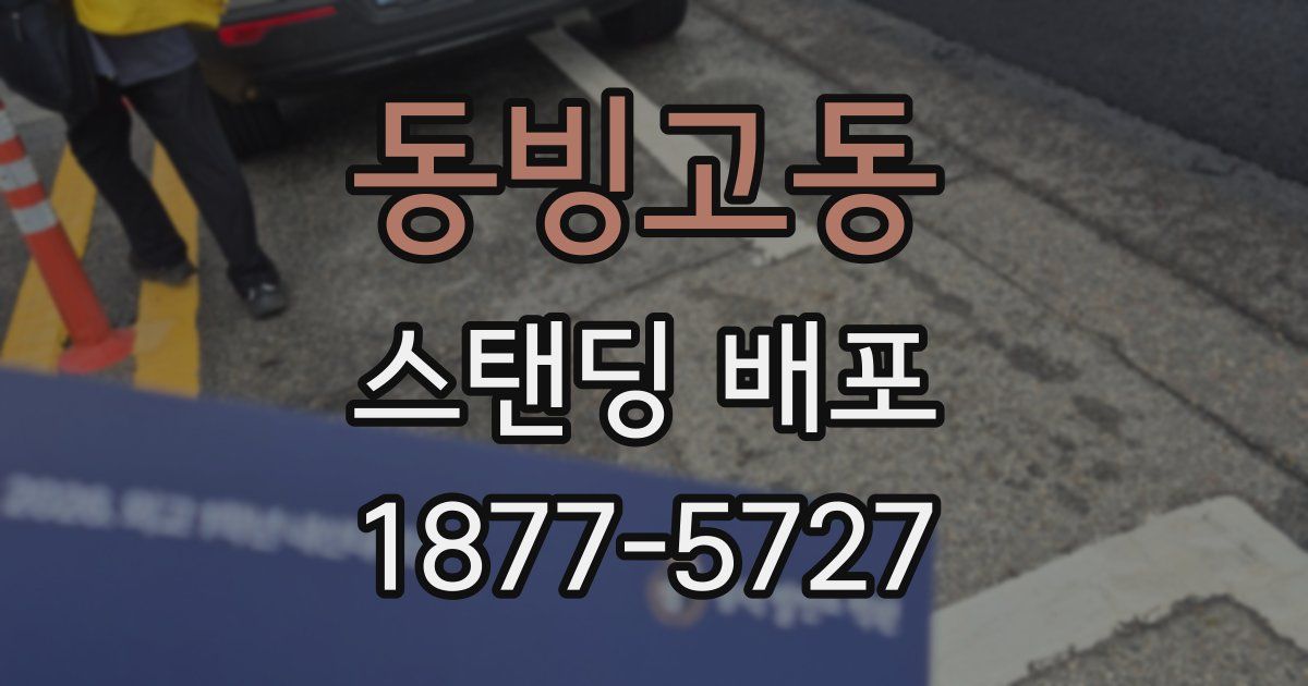 동빙고동 스탠딩 배포