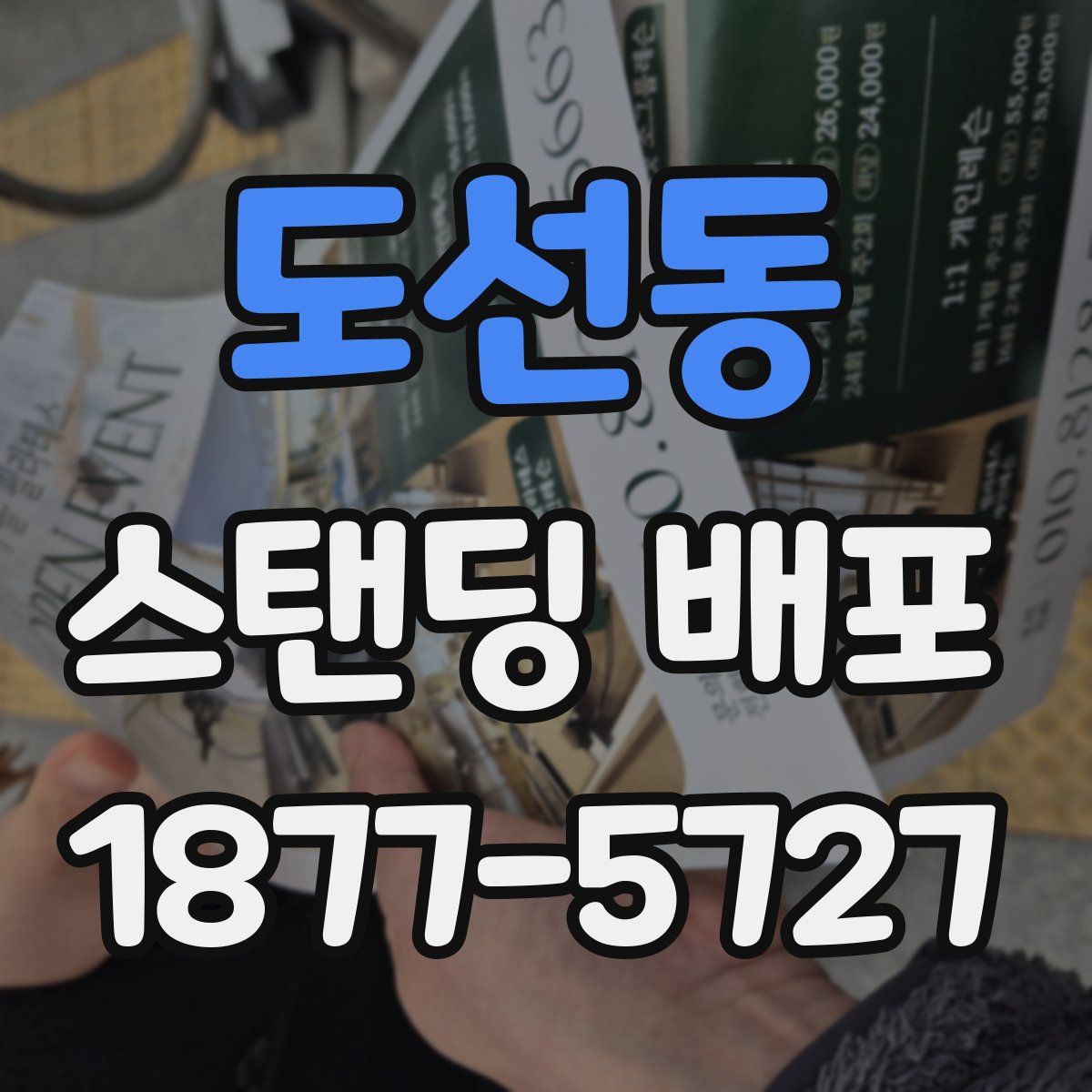 도선동 스탠딩 배포