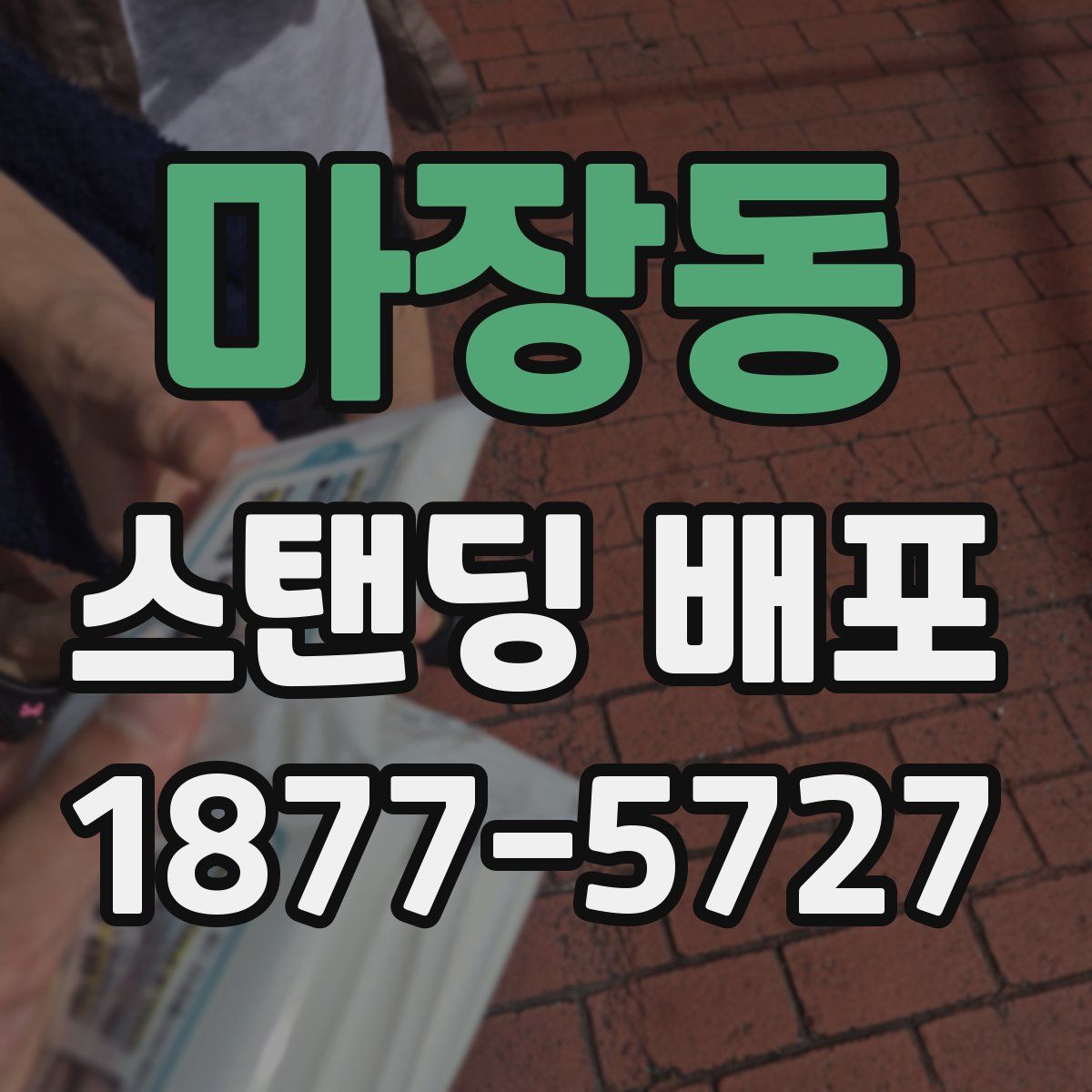 마장동 스탠딩 배포