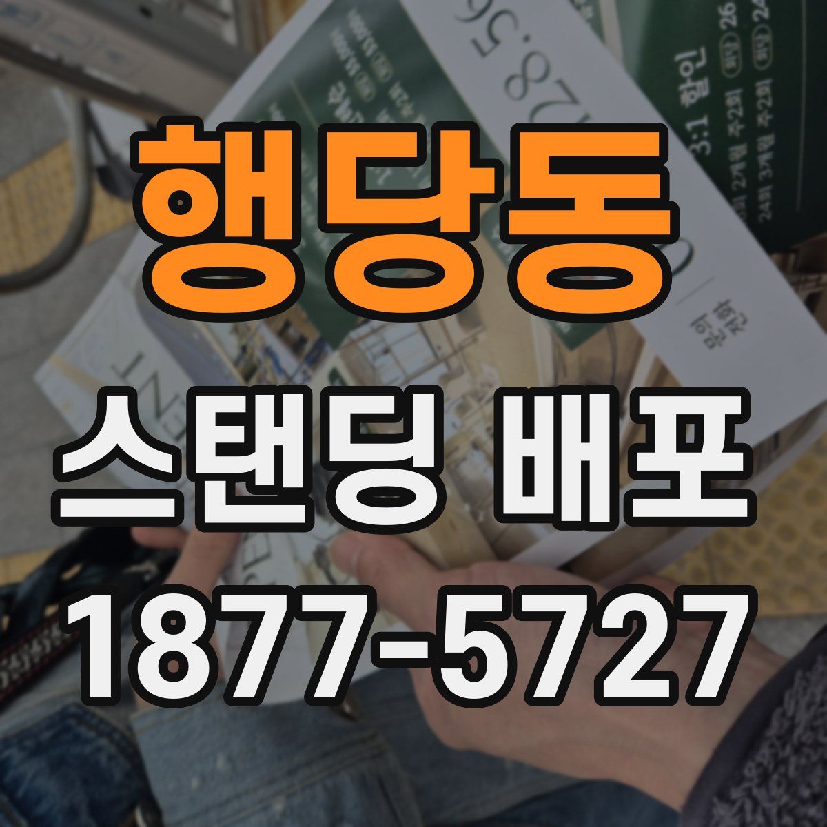 행당동 스탠딩 배포