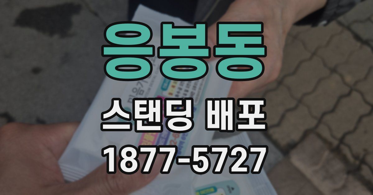 응봉동 스탠딩 배포