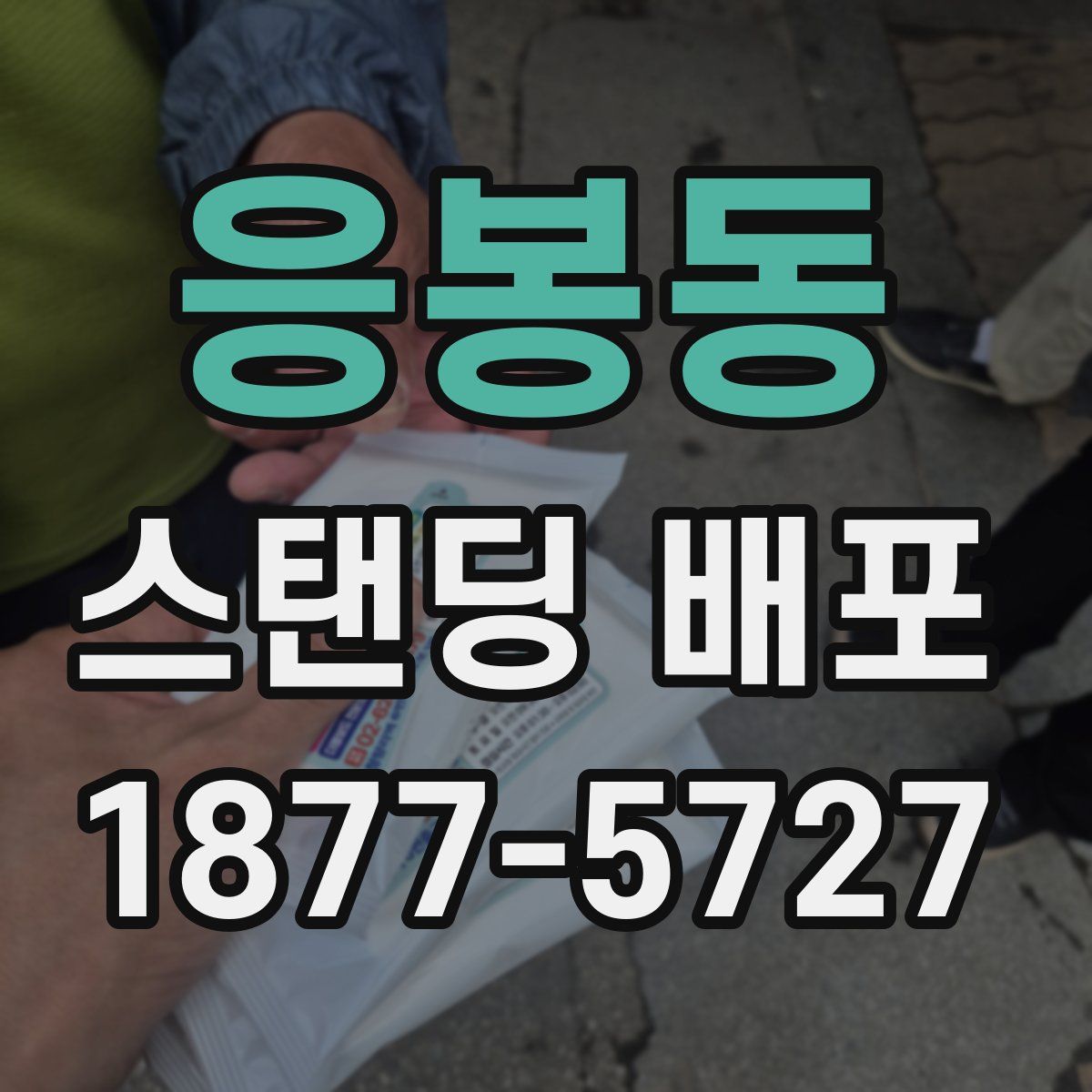 응봉동 스탠딩 배포