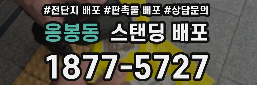 응봉동 스탠딩 배포