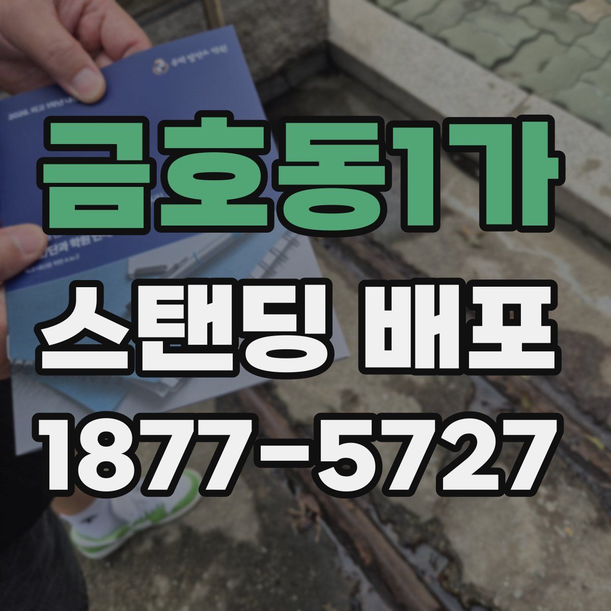 금호동1가 스탠딩 배포