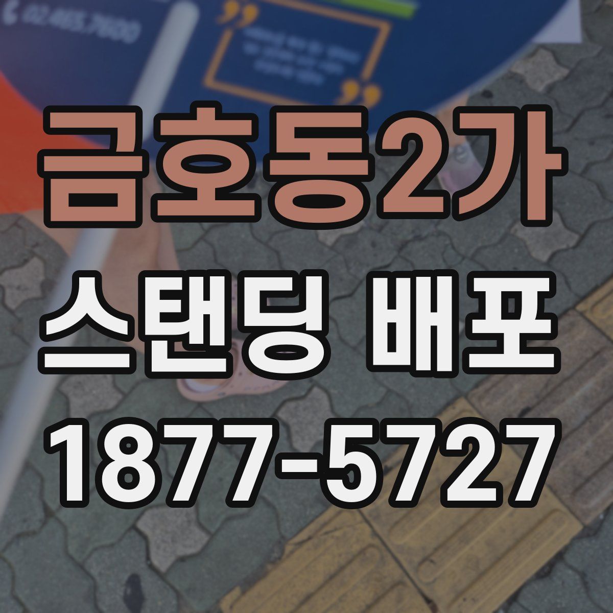 금호동2가 스탠딩 배포