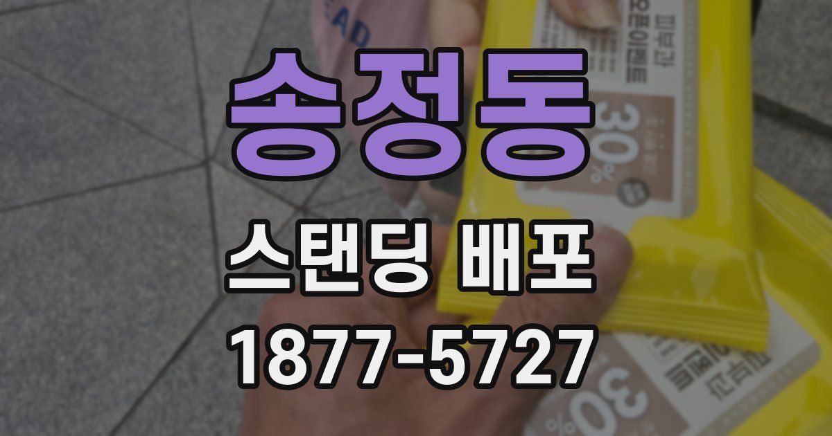 송정동 스탠딩 배포