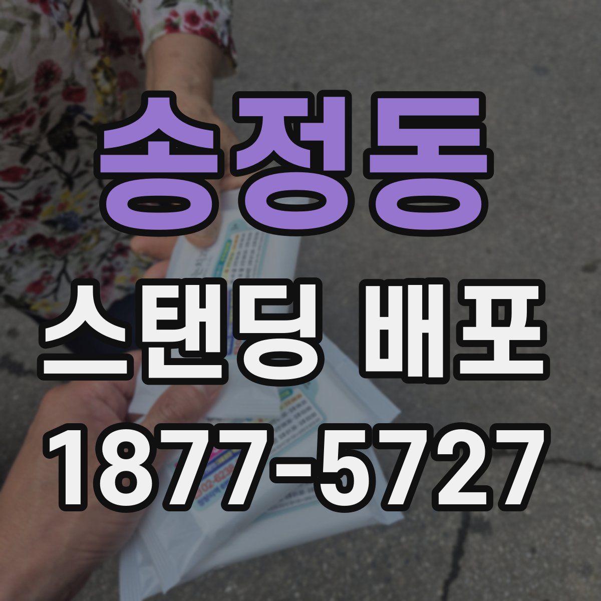 송정동 스탠딩 배포