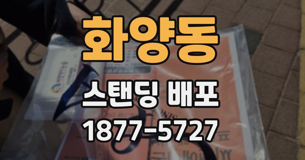화양동 스탠딩 배포