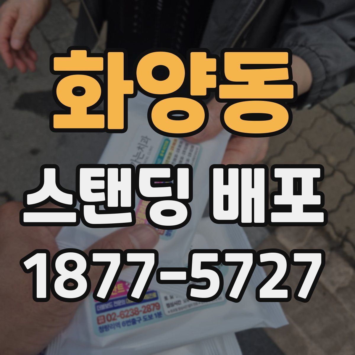 화양동 스탠딩 배포