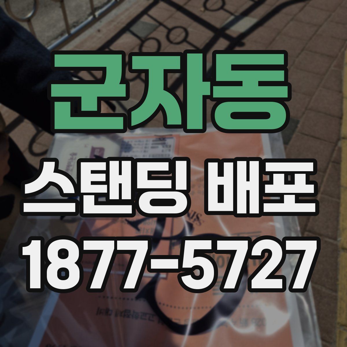 군자동 스탠딩 배포