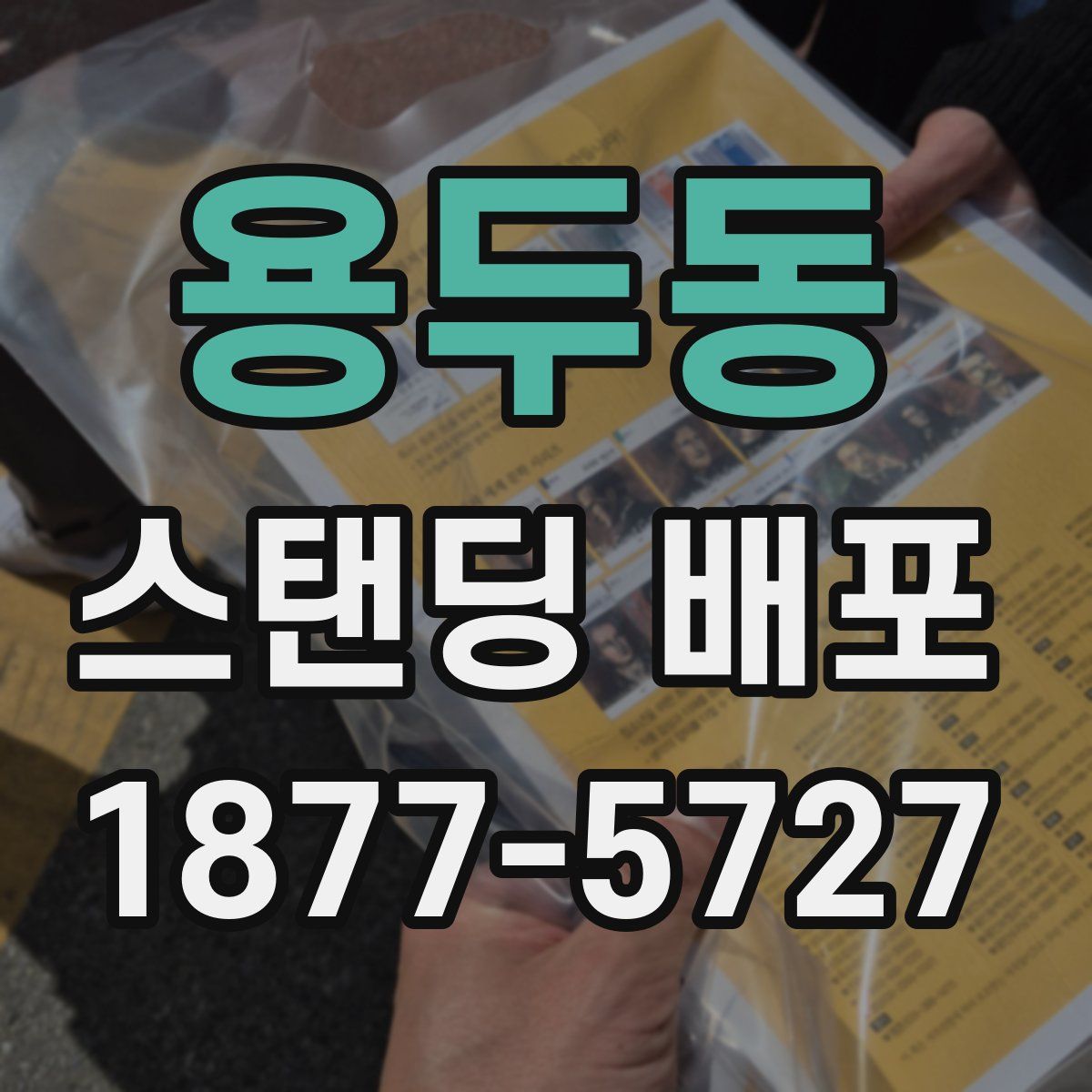 용두동 스탠딩 배포