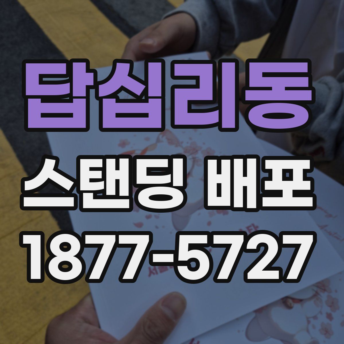 답십리동 스탠딩 배포