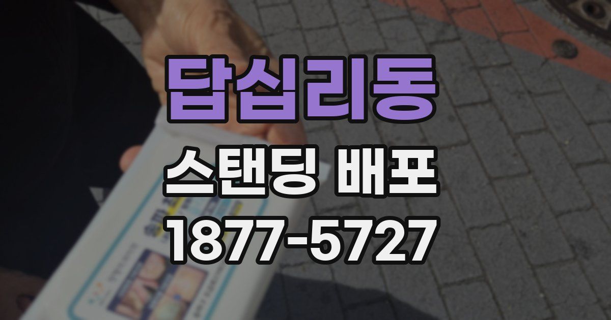 답십리동 스탠딩 배포
