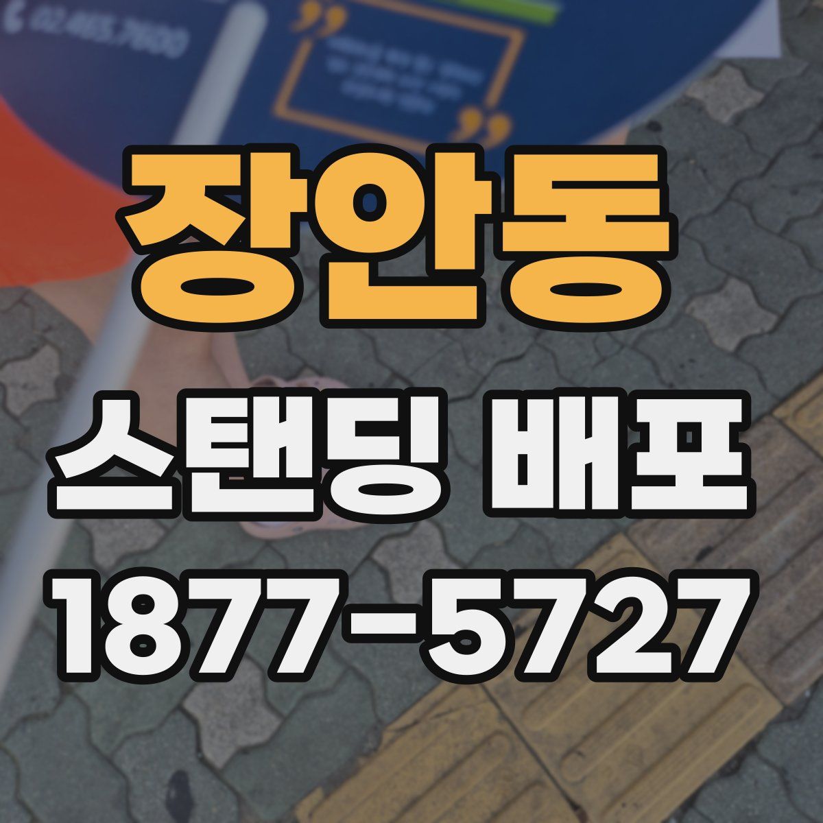 장안동 스탠딩 배포