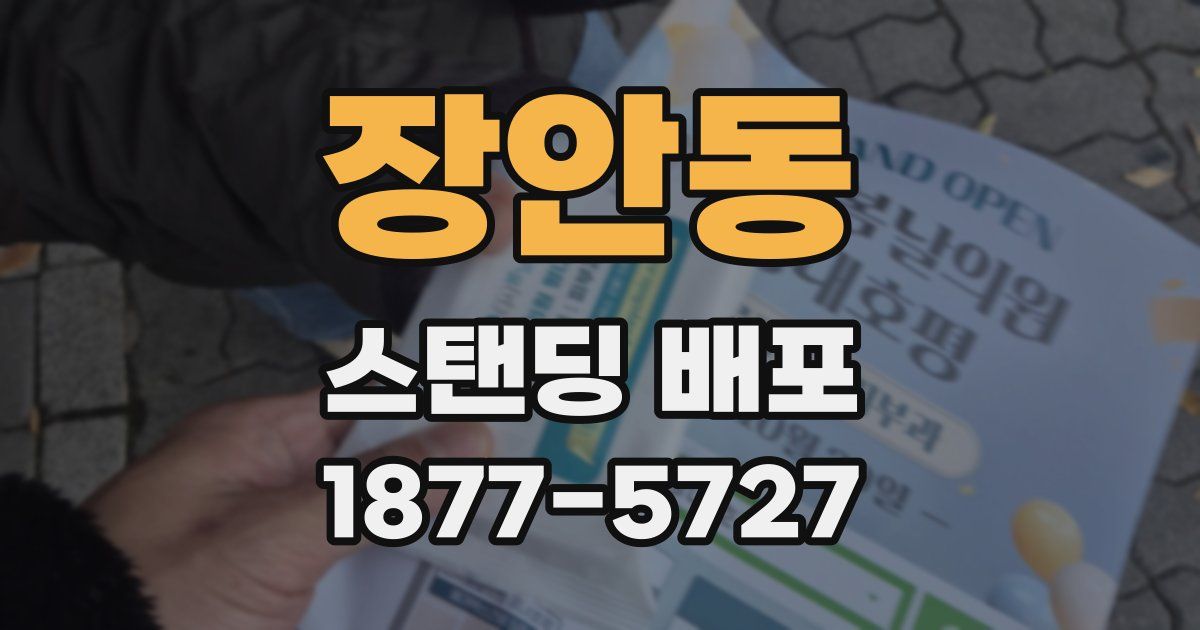 장안동 스탠딩 배포