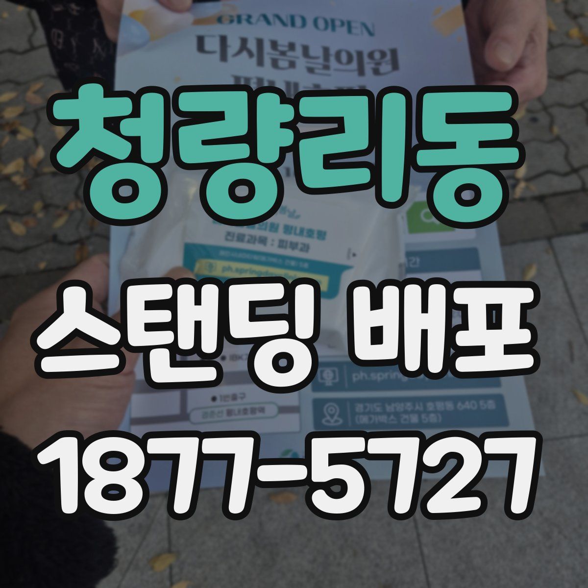 청량리동 스탠딩 배포