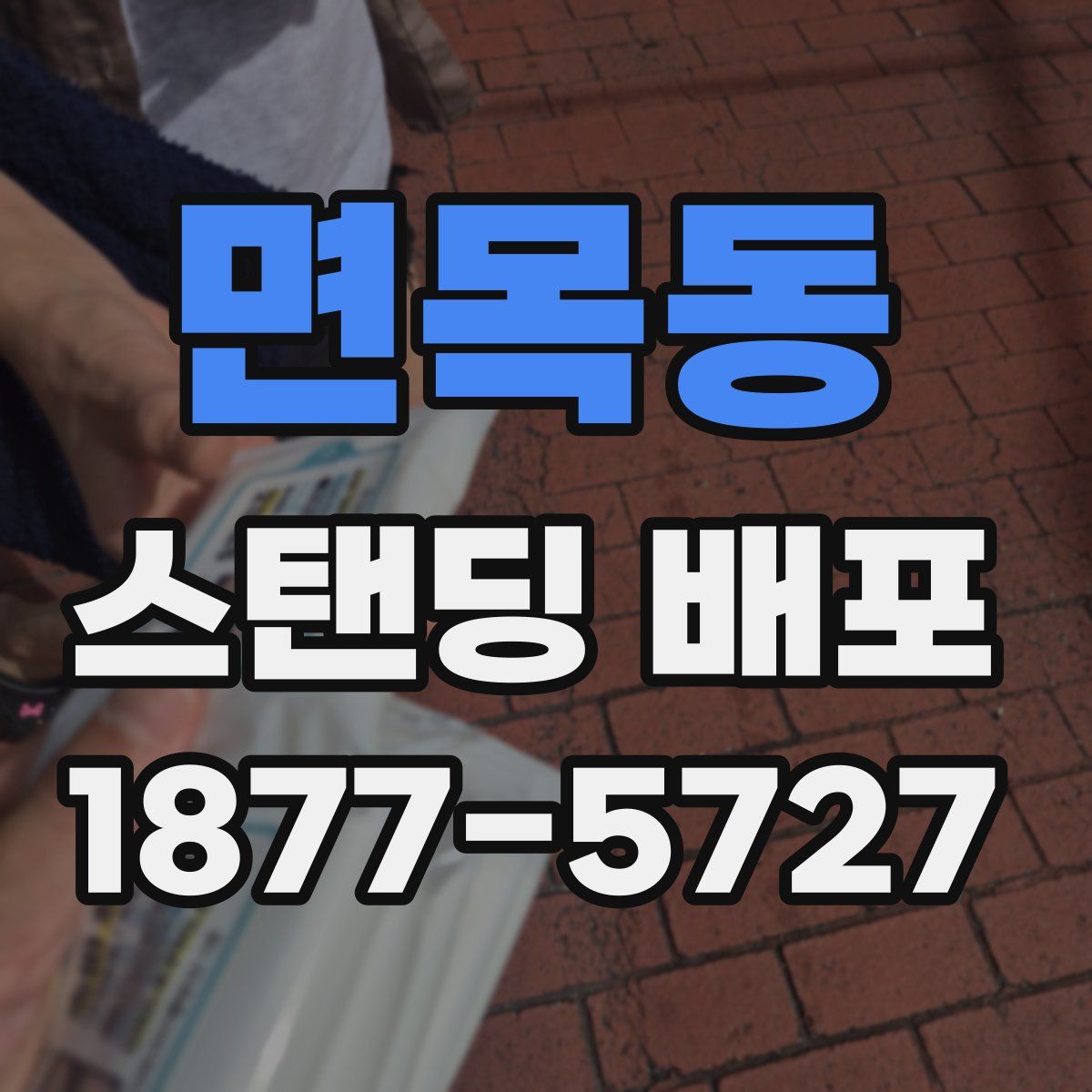 면목동 스탠딩 배포