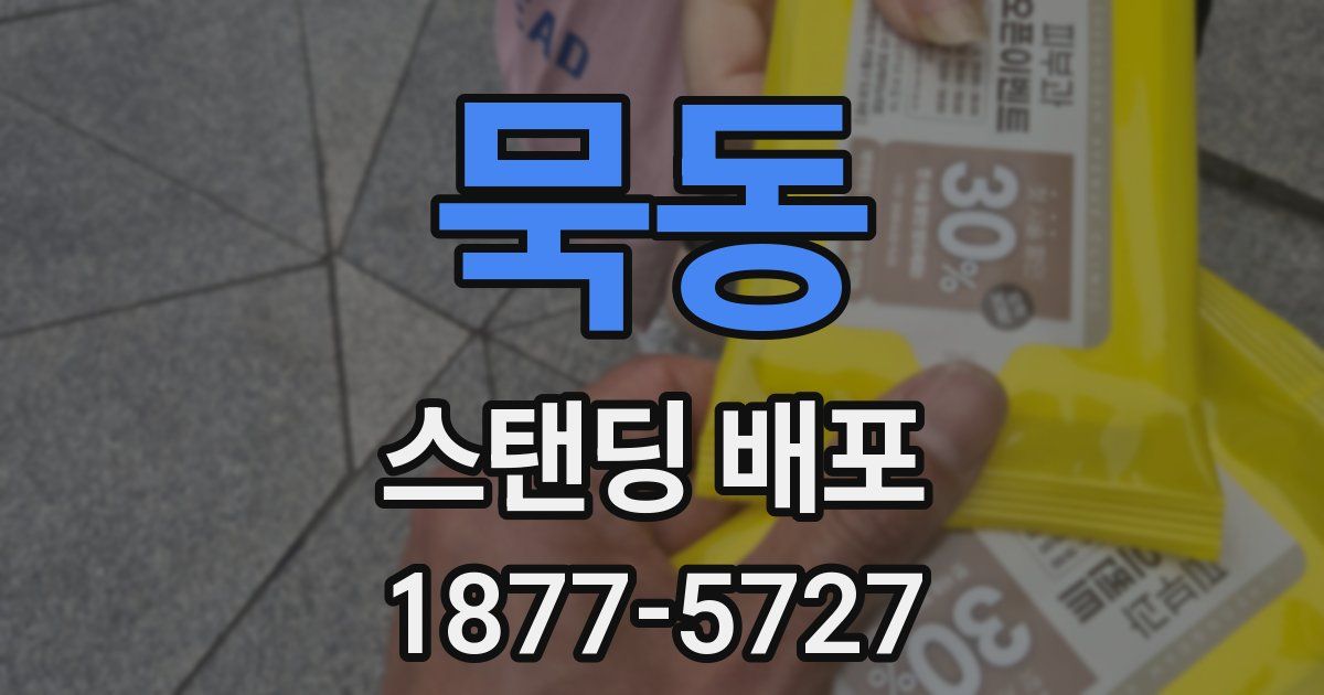묵동 스탠딩 배포