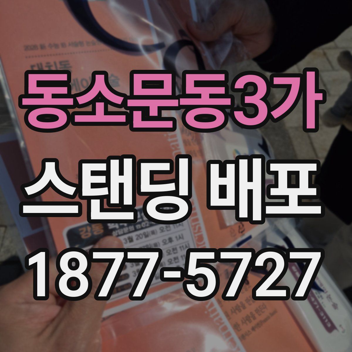동소문동3가 스탠딩 배포