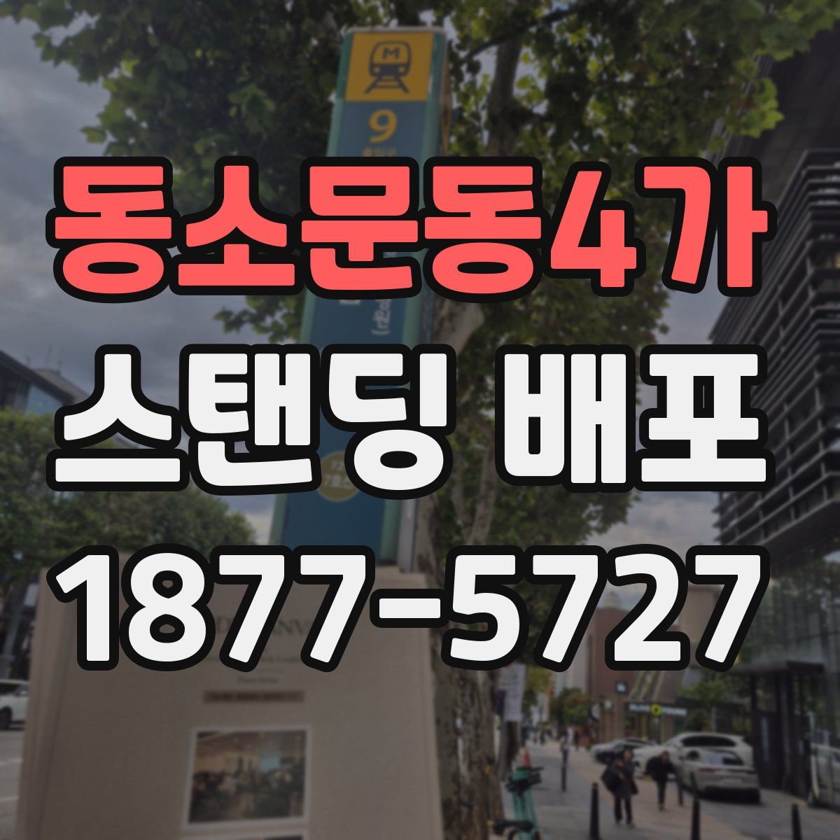 동소문동4가 스탠딩 배포
