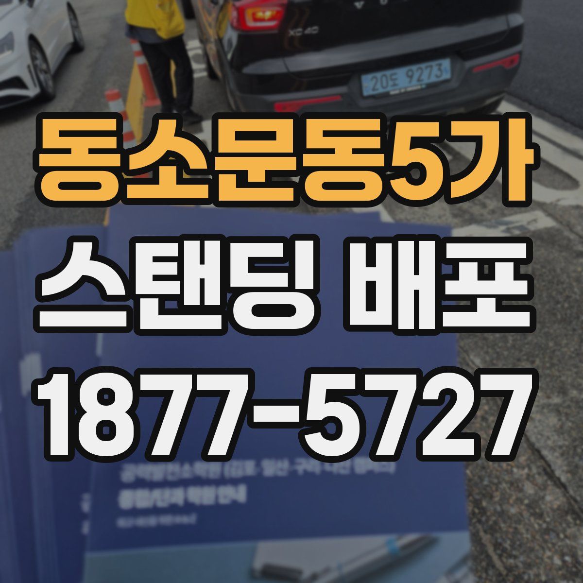 동소문동5가 스탠딩 배포