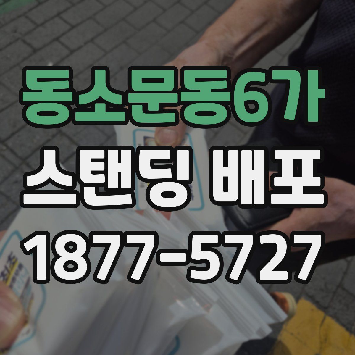 동소문동6가 스탠딩 배포