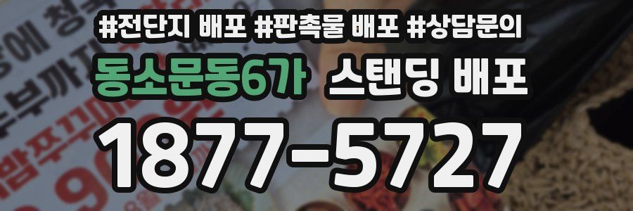 동소문동6가 스탠딩 배포