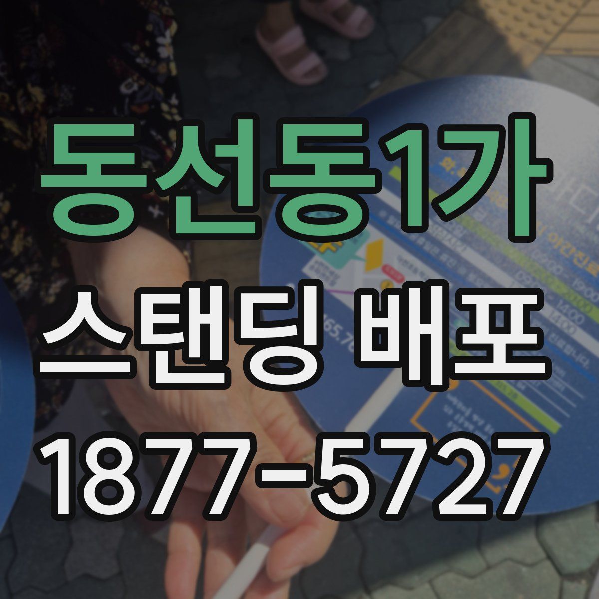 동선동1가 스탠딩 배포