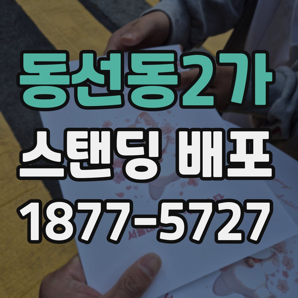 동선동2가 스탠딩 배포