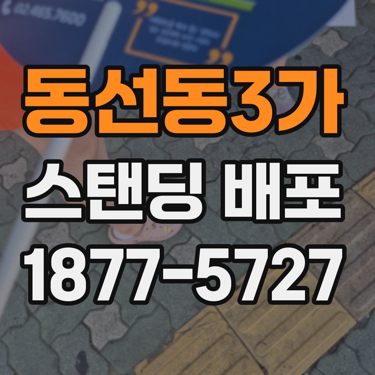 동선동3가 스탠딩 배포