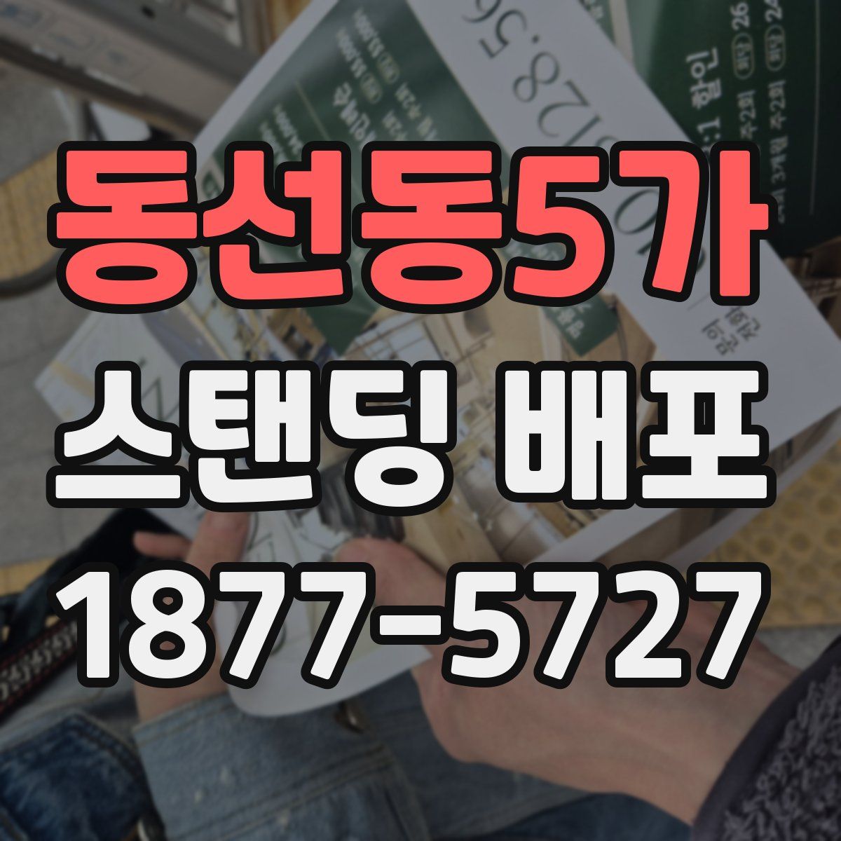 동선동5가 스탠딩 배포