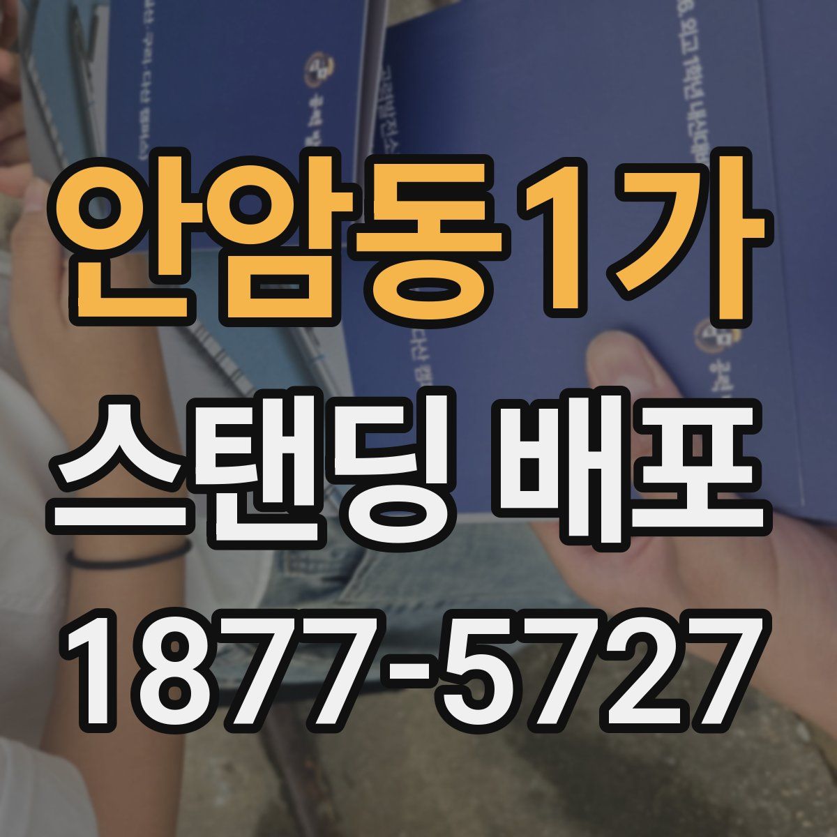 안암동1가 스탠딩 배포