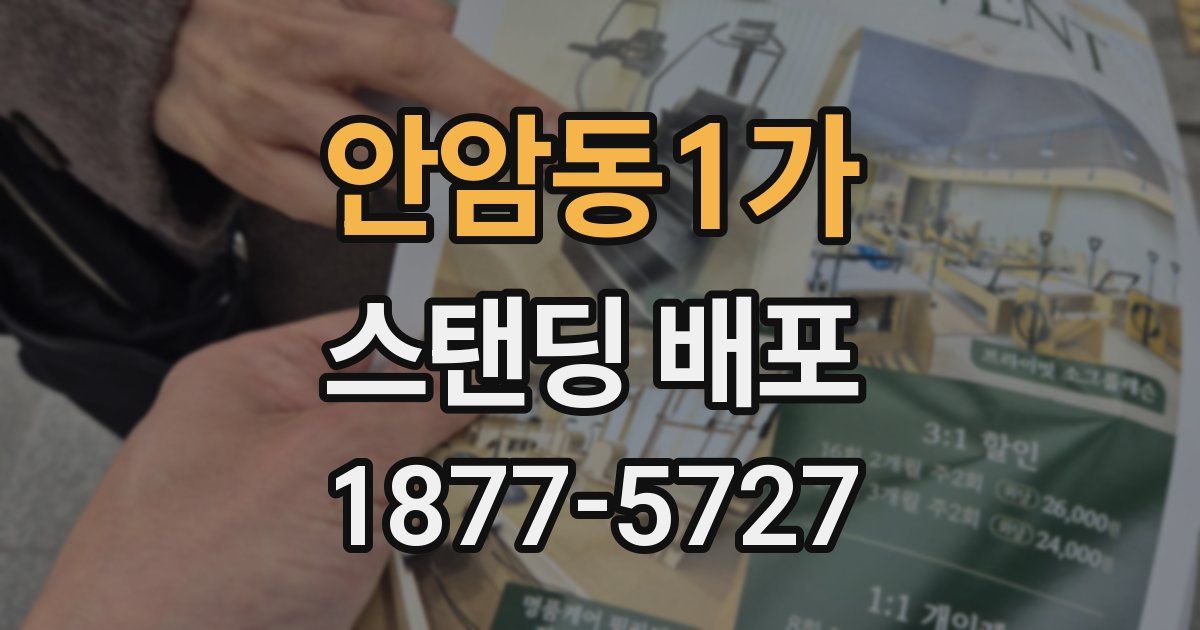 안암동1가 스탠딩 배포