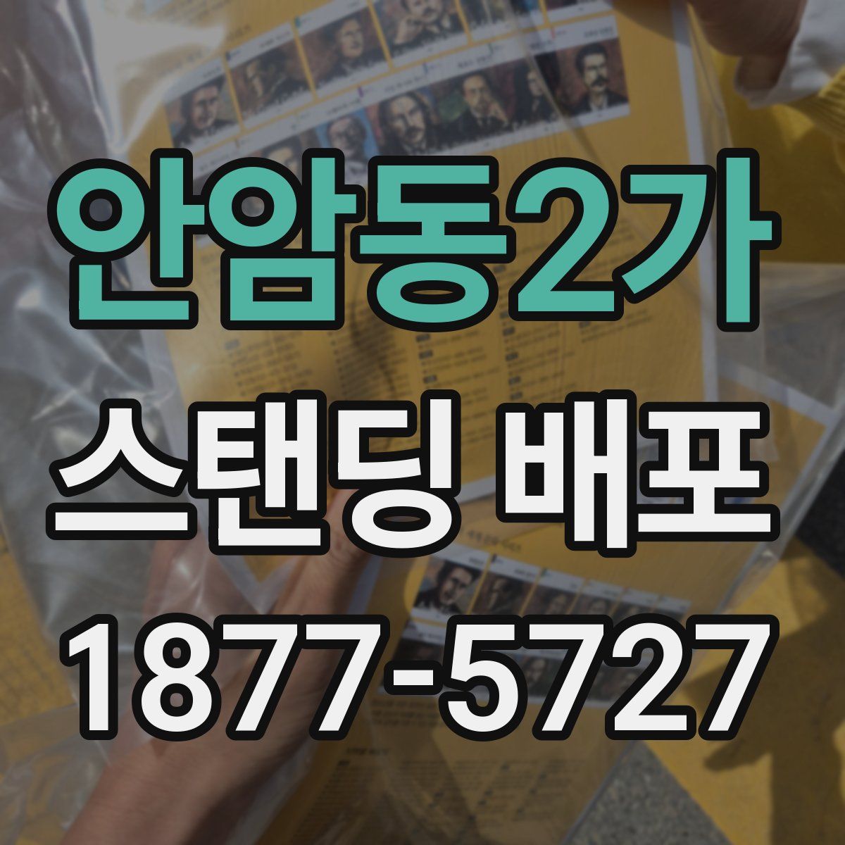 안암동2가 스탠딩 배포
