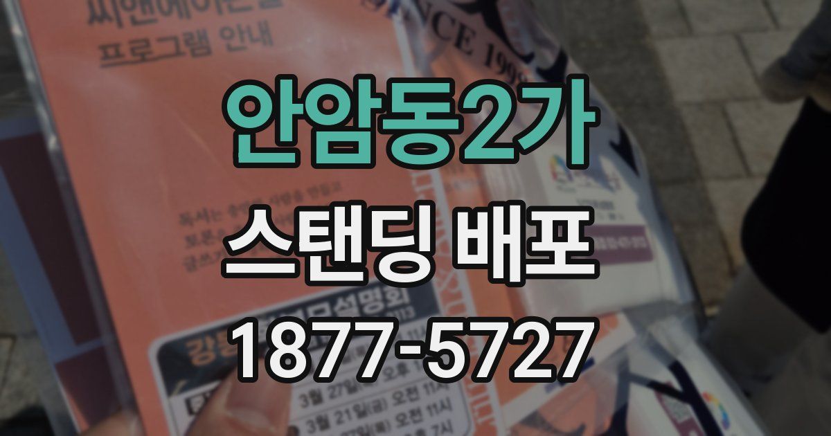 안암동2가 스탠딩 배포