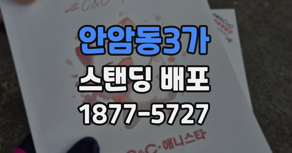 안암동3가 스탠딩 배포