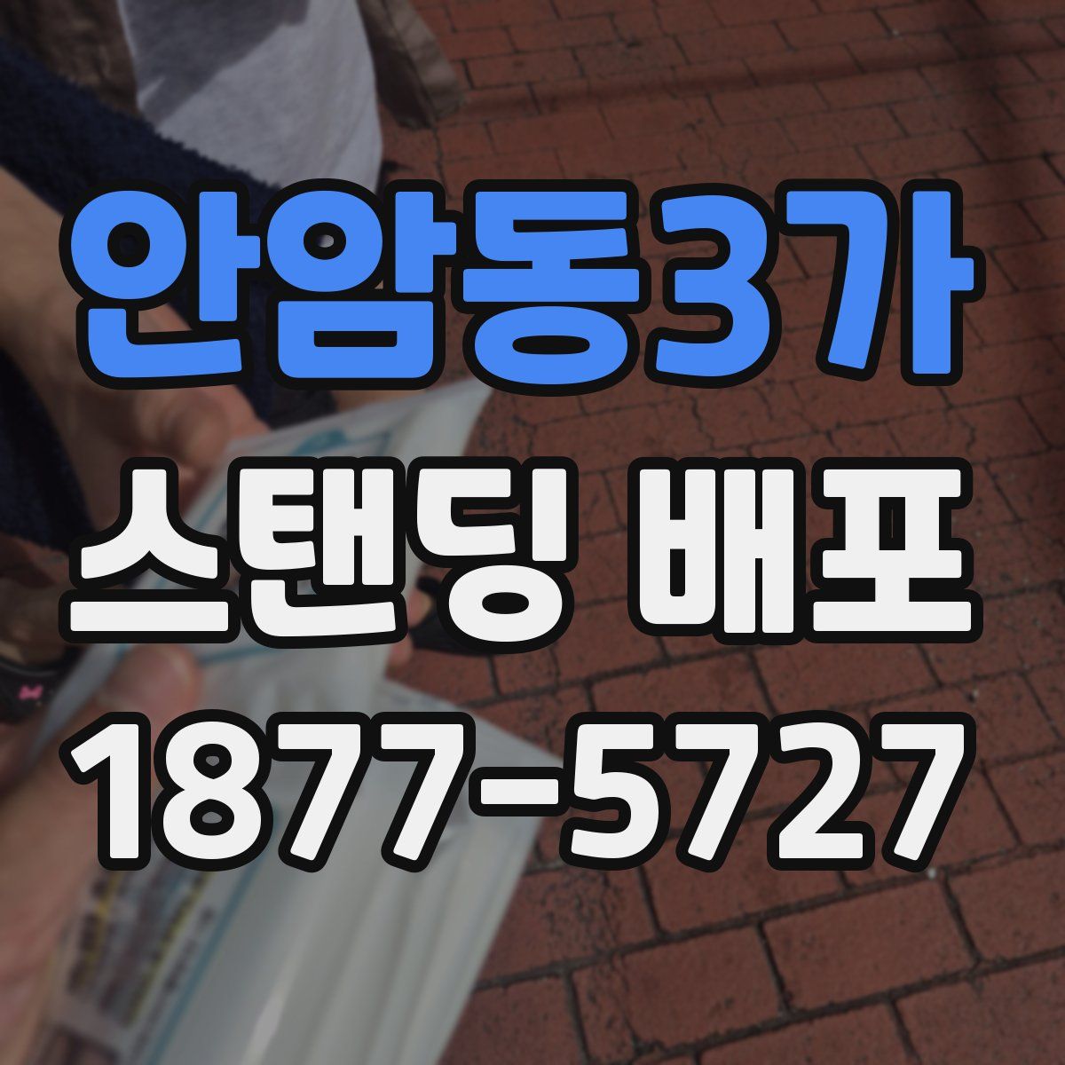 안암동3가 스탠딩 배포