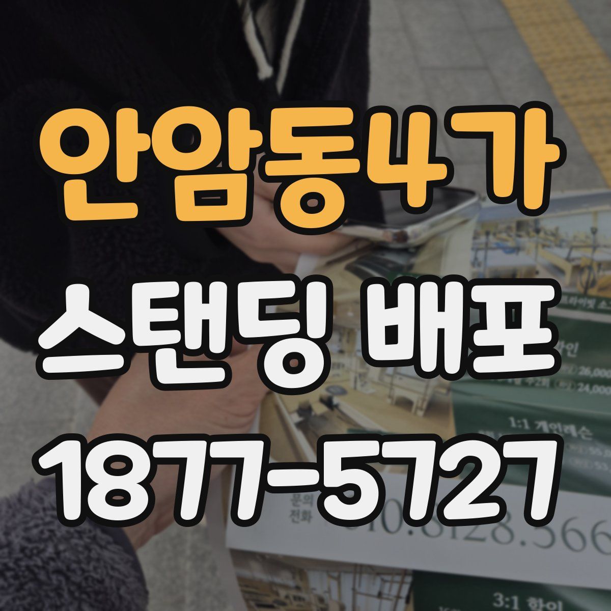 안암동4가 스탠딩 배포