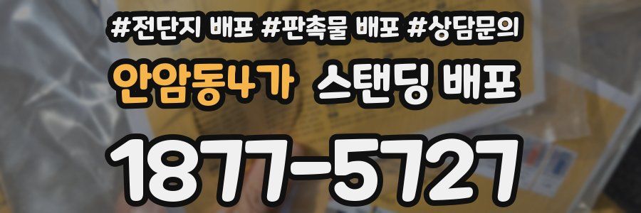 안암동4가 스탠딩 배포
