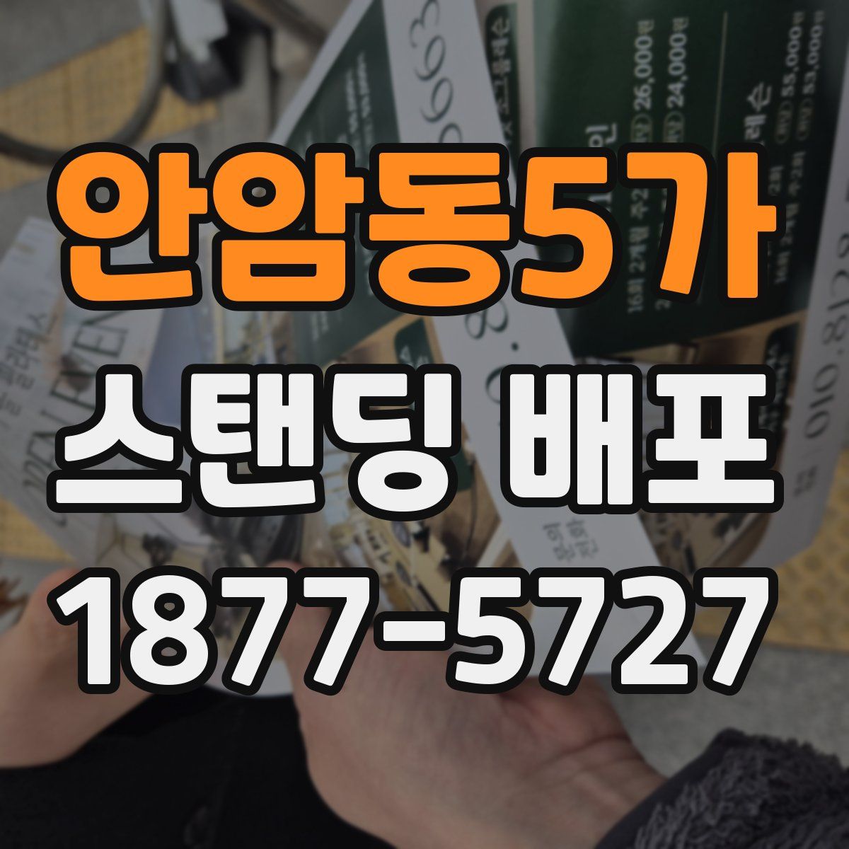 안암동5가 스탠딩 배포