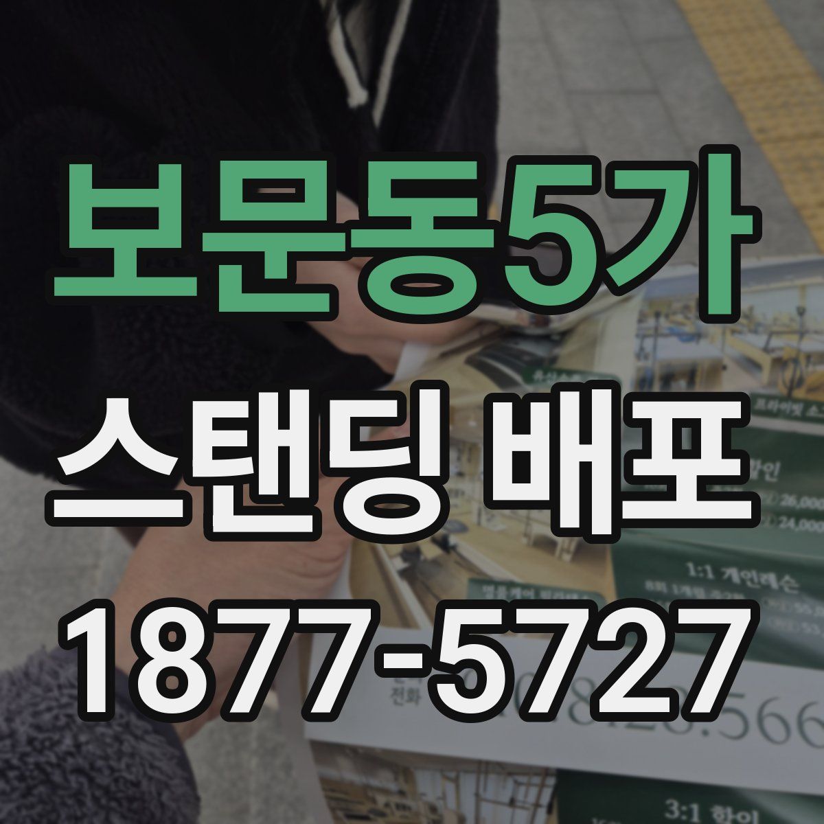 보문동5가 스탠딩 배포
